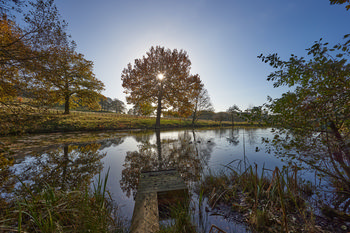 Autumn trees reflection This is a landscape photograph taken in the late morning during the autumn season in rural England, United Kingdom. The main subject of the image is the reflection of autumn trees on the pond’s calm water, capturing the seasonal colors and the tranquil scenery. The sunlight is seen filtering through the branches of a large tree at the edge of the pond, enhancing the vibrant foliage typical of autumn in this region. The photograph is set in the grounds near Hardwick Hall, with the water and surrounding trees forming a picturesque rural scene that emphasizes the beauty of English countryside during autumn. The clear reflection on the pond’s surface highlights both the trees and the peaceful character of the rural landscape.